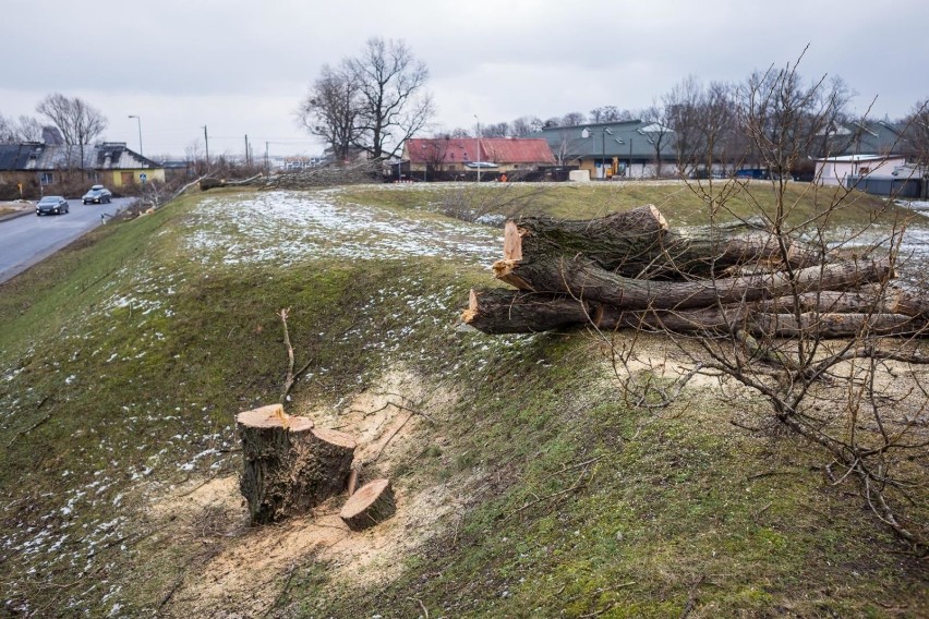#StopPrzedeptom - Ursynów walczy z zadeptanymi trawnikami i prosi mieszkańców o pomoc! 
