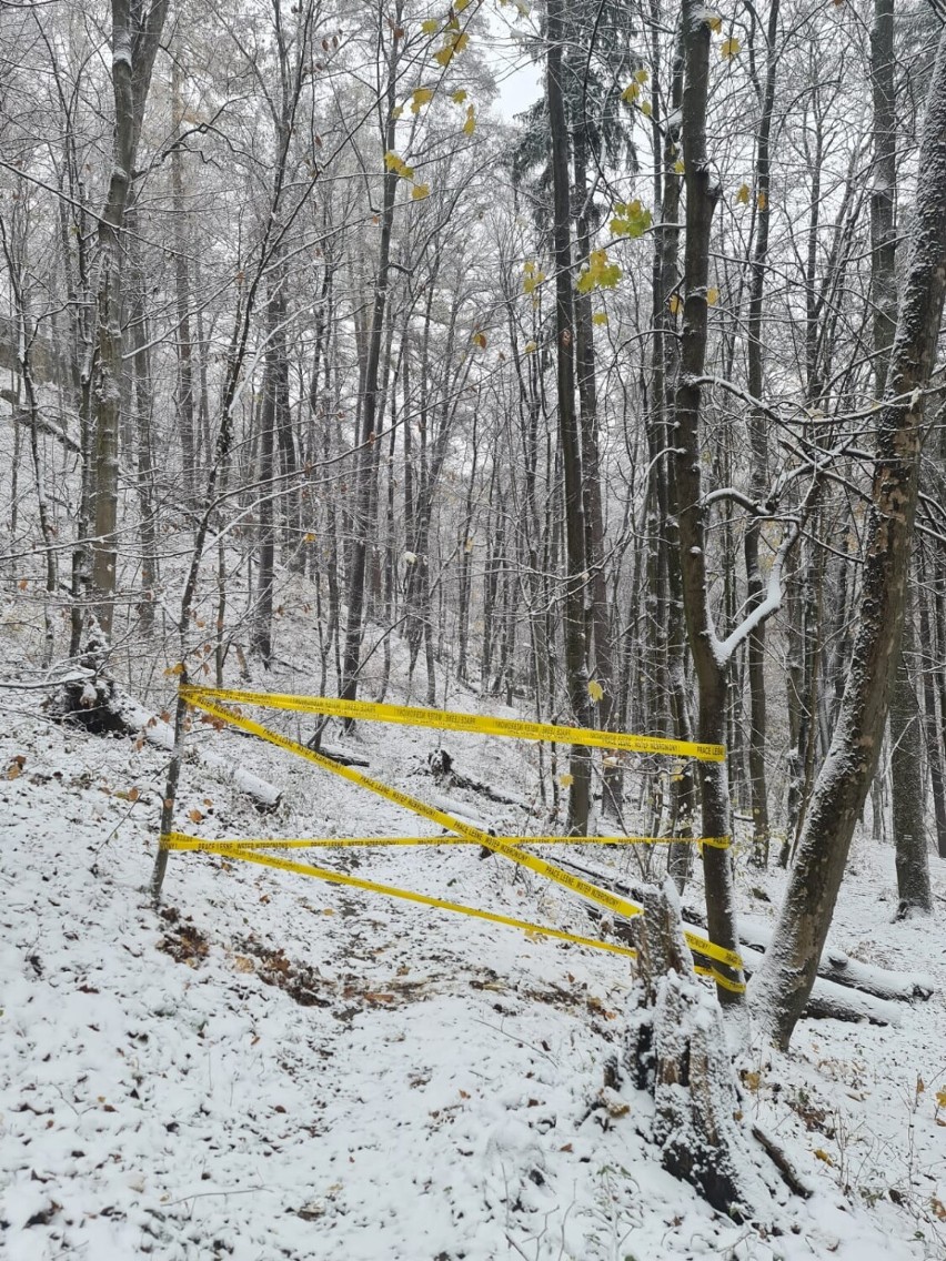 Zamknięta "Ścieżka Hochbergów" w Książańskim Parku Krajobrazowym