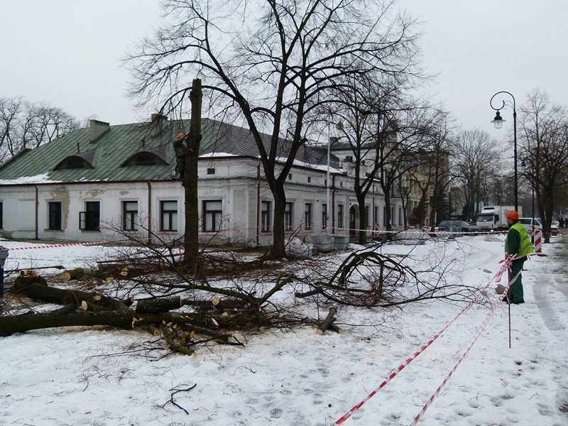 Wycinka drzew na Kościuszki (zdjęcia)