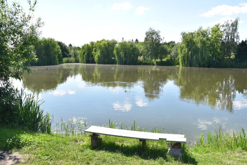 Gniezno: ROD im. Bolesława Chrobrego [16.06.2020]