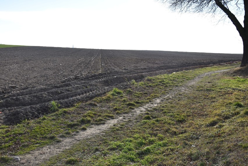 W Kaliszu powstanie nowe osiedle? 70 hektarów dla domów, bloków i handlu ZDJĘCIA