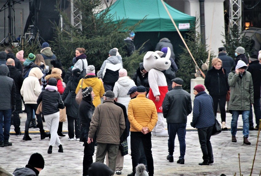 Jarmark Świąteczny na zamojskim Rynku Wielkim