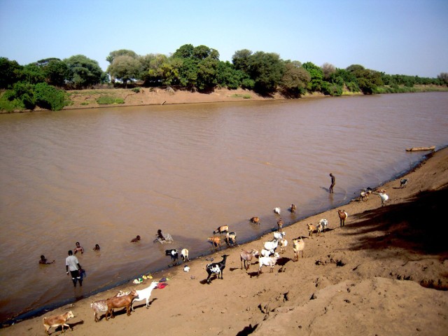 Dassanech żyją w delcie rzeki Omo, kt&oacute;ra wpływa do jez. Turkana. Rzeka pozwala im żyć, ale czasem to życie i dobytek odbiera podczas powodzi. W najgorszych czasach pożywieniem są wyłowione z rzeki krokodyle. Fot. Teresa Stachowicz