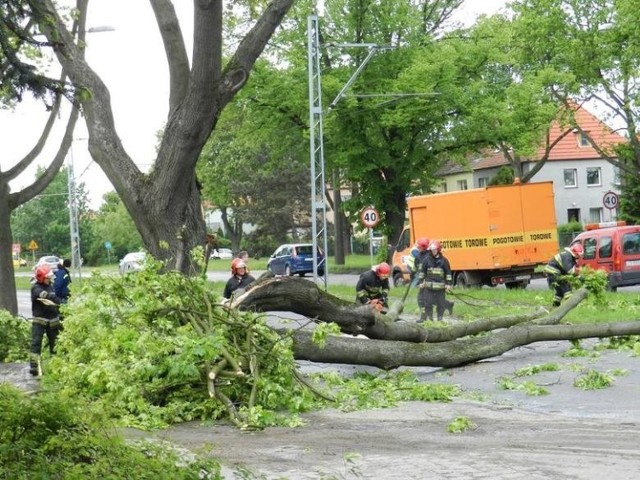 Poprzednie wichury w Szczecinie i regionie i ich skutki - połamane drzewa, zniszczone samochody