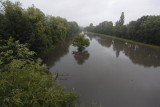 Poznań: Bogdanka wezbrała i wylała. Przypomnina Wartę? [ZDJĘCIA]