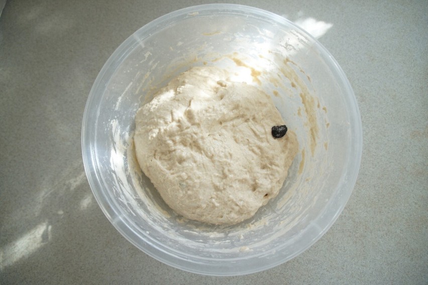 Całkowity proces składania chleba zajmuje 1,5 godziny....