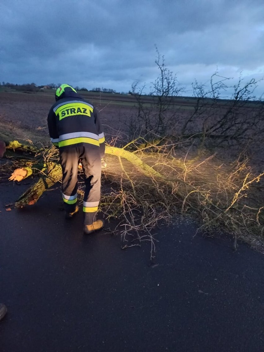 Gm. Kaźmierz. Strażacy walczą ze skutkami porywistego wiatru