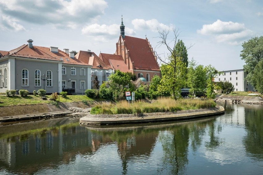 Tak obecnie wygląda wyspa św. Barbary, drzewa mają na nią...