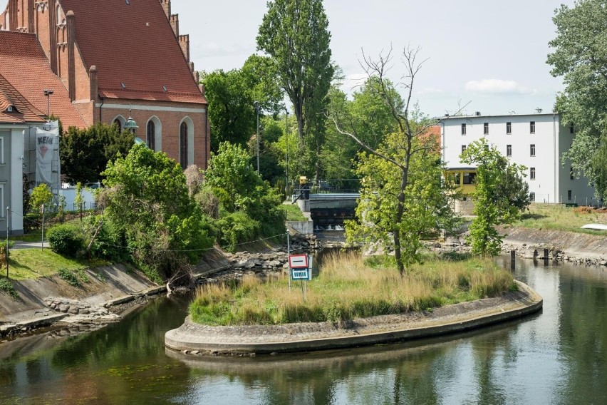 Tak obecnie wygląda wyspa św. Barbary, drzewa mają na nią...