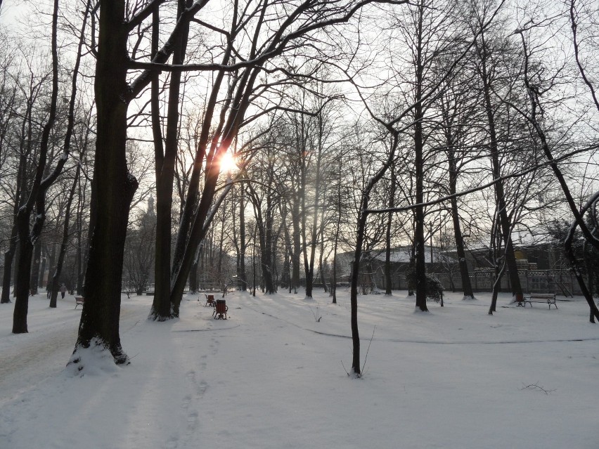 Zima Żory: Zdjęcia Parku Staromiejskiego FOTO
