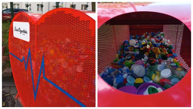Zbiórka plastikowych nakrętek w Gdańsku. Jak poprawnie segregować odpady i pomagać potrzebującym?