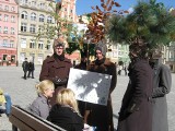 Wrocław: Drzewa spacerowały po Rynku
