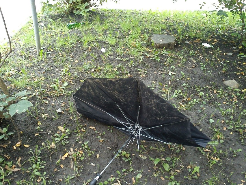 Pada deszcz, wieje wiatr - wrocławianie wyrzucają parasolki (ZDJĘCIA)