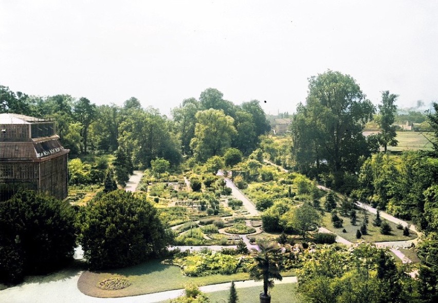 Ogród Botaniczny Uniwersytetu Jagiellońskiego w Krakowie.