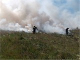 Płoną trawy, łąki i nieużytki w powiecie białogardzkim [ZDJĘCIA]