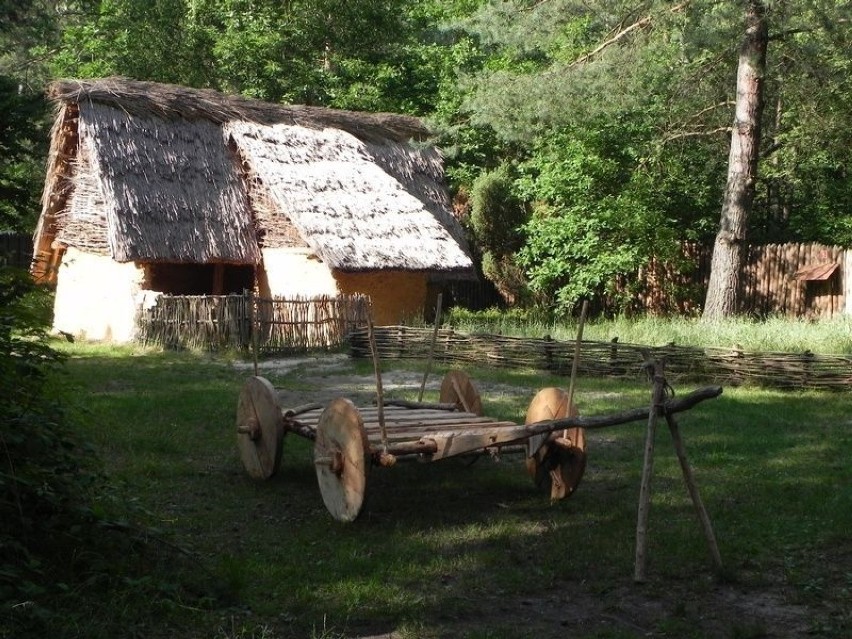 W centrum osady stał zrekonstruowany wóz z Bronocic. Odegra...