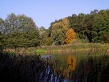 Przysłowia na listopad. Jak listopad ciepły - marzec mrozem przewlekły i inne ...