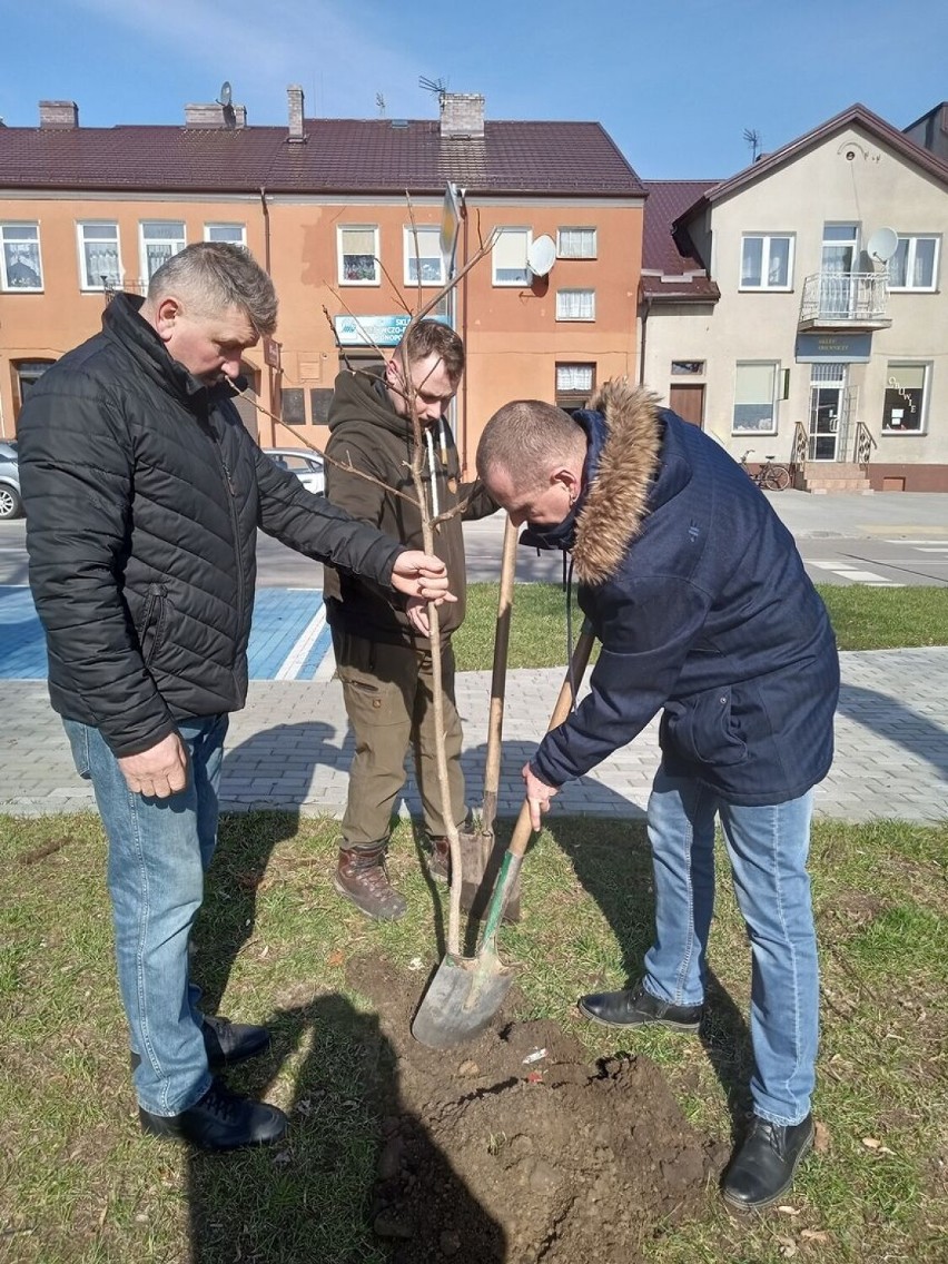 Myśliwi zasadzili drzewa w parku miejskim w Kolnie. Kasztanowce i dęby ozdobiły alejkę