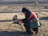 Drapieżne ptaki w parku w Radomsku. Urzędnicy składają obszerne wyjaśnienia