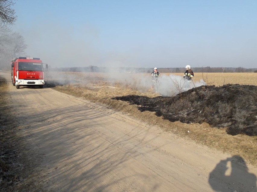 Plaga pożarów traw w całym regionie! Straż wyjeżdżała do zgłoszeń w Skokach, Gołańczy, Rogoźnie [GALERIA ZDJĘĆ]