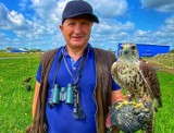 Sokolnik na lotnisku w Piotrkowie: Sokoły, myszołowy i kruk płoszą dzikie ptactwo ZDJĘCIA