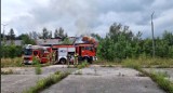 Pożar pustostanu przy Alei Solidarności - w akcji gaśniczej brało udział  zastępów Straży Pożarnej! AKTUALIZACJA