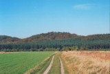 Jurajskie klimaty. Wędrujemy po Sokolich Górach