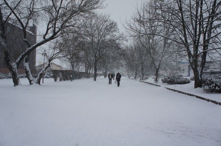 Posypało śniegiem w Toruniu ul Żókiewskiego