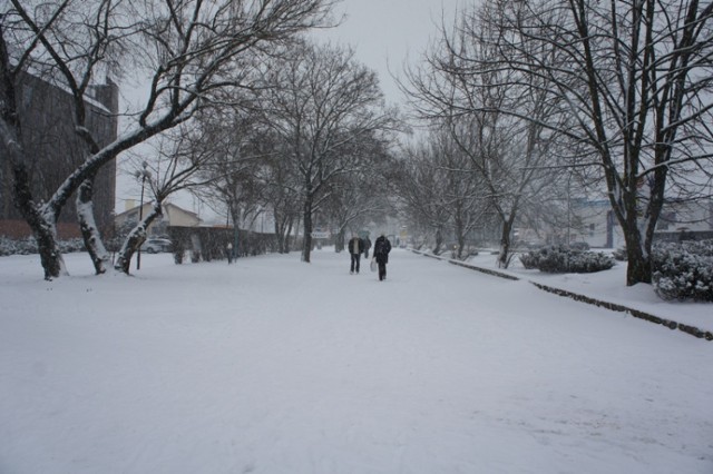 Posypało śniegiem w Toruniu ul Żókiewskiego