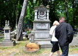 Cmentarz na Lipowej. Radni zaniepokojeni wycinką drzew