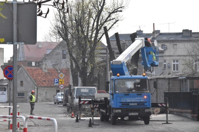 Śrem. Wycięto dwa drzewa na ul. Polnej. Zamiast nich posadzono dwa nowe, ale na ul Piłsudskiego