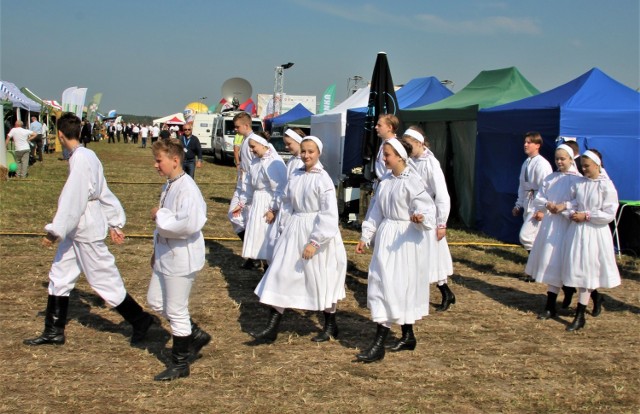 Dożynki wojewódzkie w Lubyczy Królewskiej