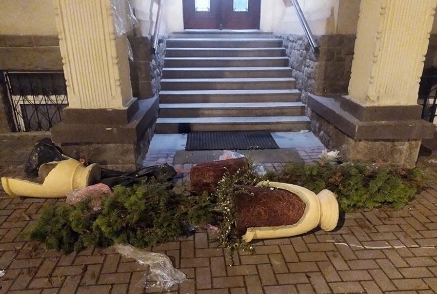 Bogatynia: Rozbili ogromne donice pod urzędem miasta i ukradli kwiaty z wiązanek