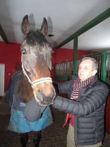 Przychodzi koń do doktora... Rozmowa z weterynarzem Michałem Borowińskim 