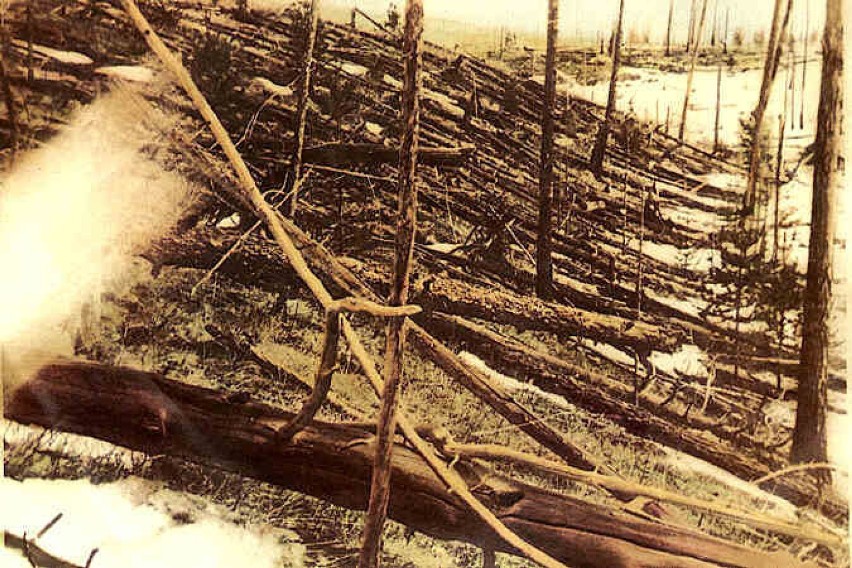 Zdjęcie powalonych i spalonych drzew w środkowej Syberii