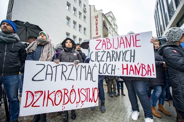 Zdaniem protestujących to ludzie, a nie dziki odpowiadają za rozprzestrzenianie się ASF.