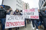 Poznaniacy protestowali w obronie dzików [ZDJĘCIA]