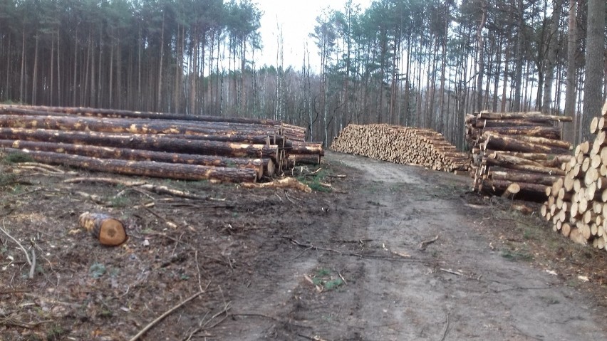 - Chciałabym zgłosić pewną sprawę, a raczej moje i nie tylko...