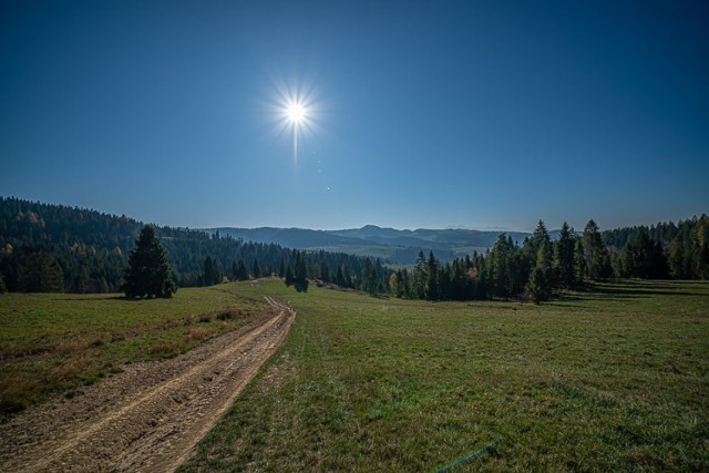 Szlak z Obidzy do Jaworek