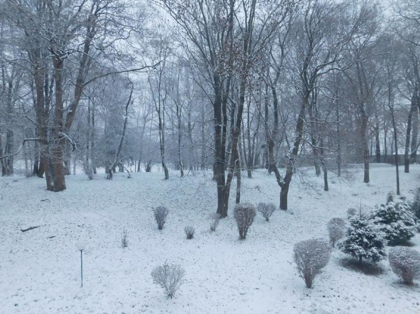 Atak zimy w listopadzie w Wałbrzychu