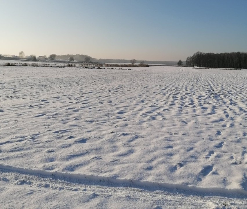 Krobia. Atak zimy w Waszym obiektywie. W mieście i regionie jest pięknie! [ZDJĘCIA] 