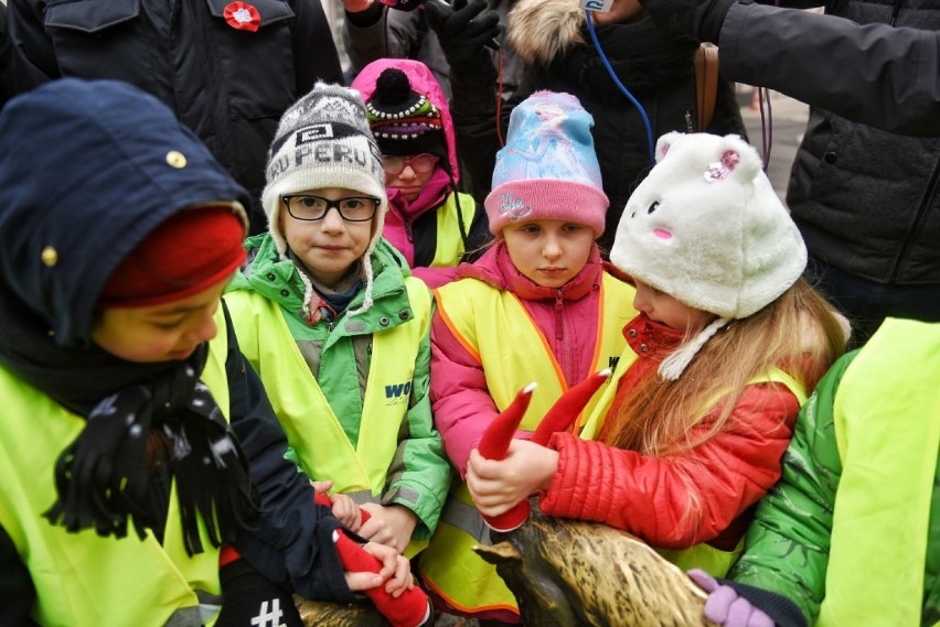 Ubieranie koziołków na placu Kolegiackim stało się już...