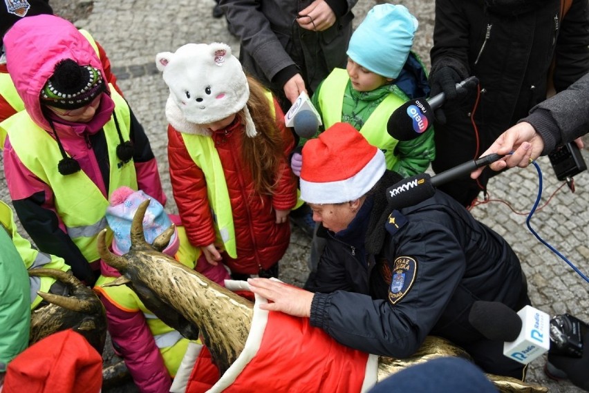 Ubieranie koziołków na placu Kolegiackim stało się już...