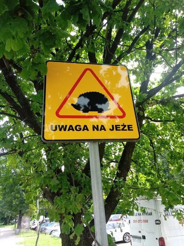 KTOZ apeluje do dyrektora Zarządu Zieleni Miejskiej w Krakowie o większą liczbę tablic „Uwaga na jeże!"