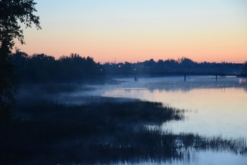 Malbork. Wschód słońca i mgła nad Nogatem [ZDJĘCIA, FILM]. Poranek 21.05.2020