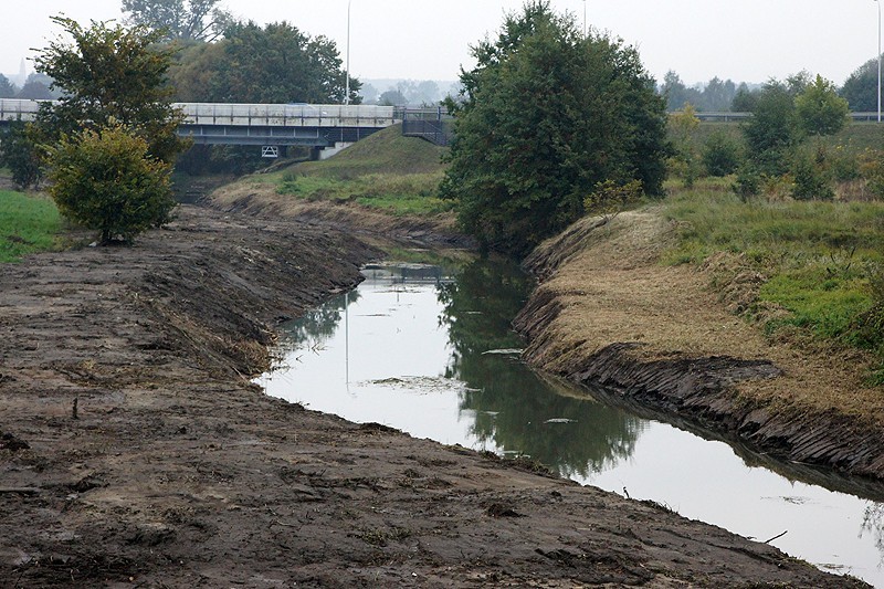 W Kaliszu trwa odmulanie Swędrni. Rzeka ma być bezpieczniejsza. ZDJĘCIA