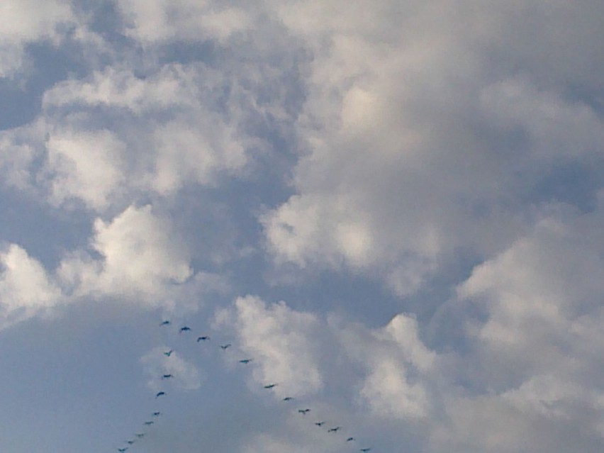 Powracające ptaki nad Wojnowickim niebem. Fot. Justyna...