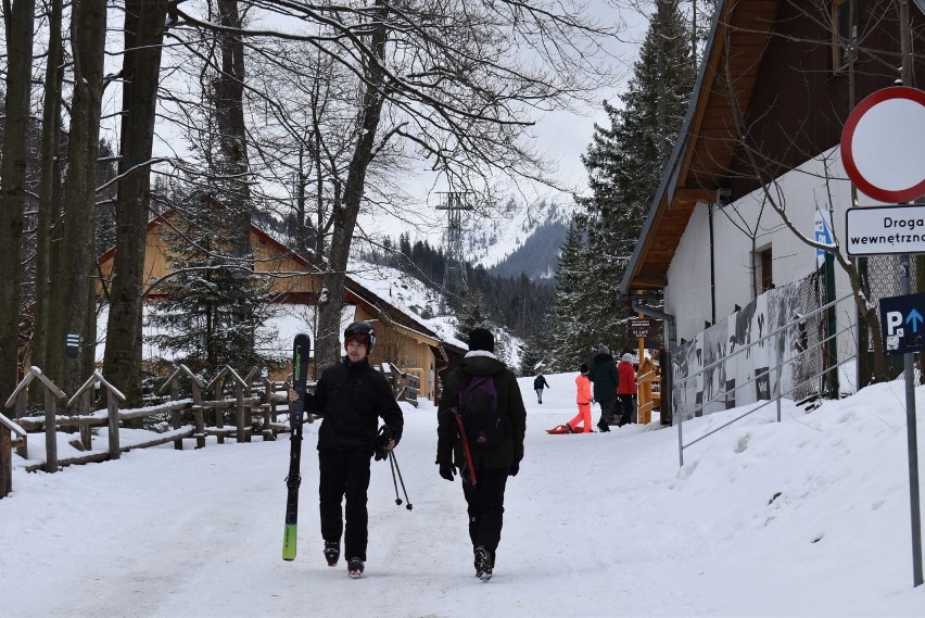 Zakopane. Zima na się wyśmienicie. W nocy znów dosypało śniegu [ZDJĘCIA]