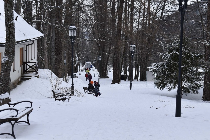 Zakopane. Zima na się wyśmienicie. W nocy znów dosypało śniegu [ZDJĘCIA]