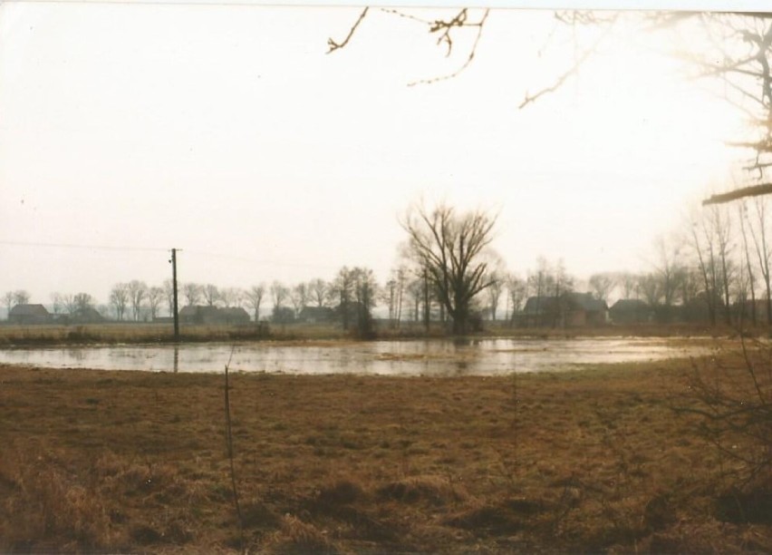 Syców i Twardogóra na archiwalnych fotografiach. Jak kiedyś wyglądały te miasta?